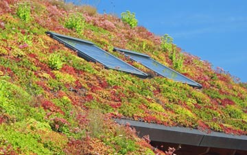 Hermit Hole living roof systems
